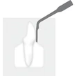 1960 718 Piezo Scaler-Tip 2R  Tooth illustration 72dpi