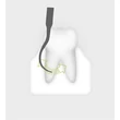 1978 724 Piezo Scaler-Tip 3Pl  Tooth illustration 72dpi